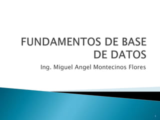 Ing. Miguel Angel Montecinos Flores
1
 