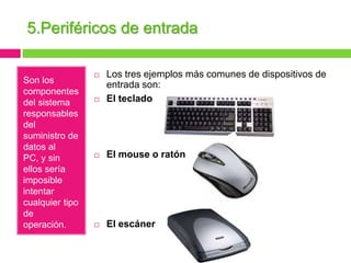 5.Periféricos de entrada
Son los
componentes
del sistema
responsables
del
suministro de
datos al
PC, y sin
ellos sería
imposible
intentar
cualquier tipo
de
operación.



Los tres ejemplos más comunes de dispositivos de
entrada son:
El teclado



El mouse o ratón



El escáner



 