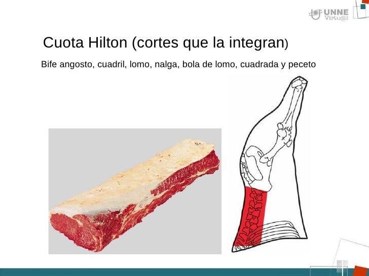 Resultado de imagen para cuota Hilton