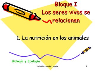 Bloque I Los seres vivos se relacionan ,[object Object],Salvador Sánchez Huete Biología y Ecología 