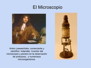El Microscopio




  Anton Leewenhoke, comerciante y
    científico holandés inventor del
microscopio y pionero en la observación
      de protozoos, y numerosos
             microorganismos
 