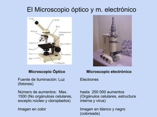El Microscopio óptico y m. electrónico




     Microscopio Óptico             Microscopio electrónico

Fuente de iluminación: Luz       Electrones
(fotones)

Número de aumentos: Max.         hasta 250 000 aumentos
1500 (No orgánuloss celulares,   (Orgánulos celulares, estructura
excepto núcleo y cloroplastos)   interna y virus)

Imagen en color                  Imagen en blanco y negro
                                 (coloreada)
 