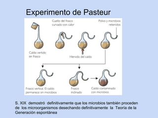 Experimento de Pasteur




S. XIX demostró definitivamente que los microbios también proceden
de los microorganismos desechando definitivamente la Teoría de la
Generación espontánea
 