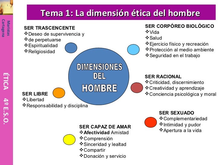 tema 1 la dimensión