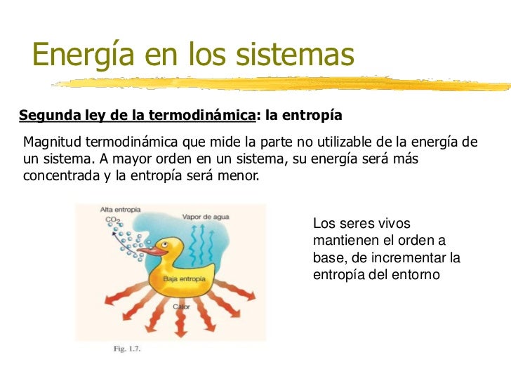 Tema 1 . medio ambiente y dinámica de sistemas
