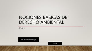 NOCIONES BASICAS DE
DERECHO AMBIENTAL
TEMA 1
Dr. Waldo Aramayo
2024
 