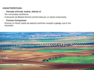 CARACTERÍSTICAS: Elevada altitude media; debido á: Ten numerosas cordilleiras. A elevación da Meseta Central (conformada por un zócalo erosionado). Formas Compactas: Orixinan un litoral (costa) de aspecto rectilíneo, excepto o galego, que é moi recortado. 