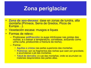 Zona periglaciar Zona de xeo-desxeo : dase en zonas de tundra, alta montaña (Pirineos, Serra de Gredos, Picos de Europa…). Vexetación escasa: musgos e liques Formas de relevo:  Prodúcese  xelifracción  (a auga intrdúcese nas gretas das rochas, e o baixar a temperatura, conxélase, actuando como unha cuña, producindo a fractura da rocha). Forma:  Agullas e cristas  nas partes superiores das montañas Pedreiras : son os fragmentos das rochas que caen por gravidade, e acumúlanse o pé das montañas.  Talud de derrubio : é o pe das montañas, onde se acumulan os materiais desprendidos das partes altas. 