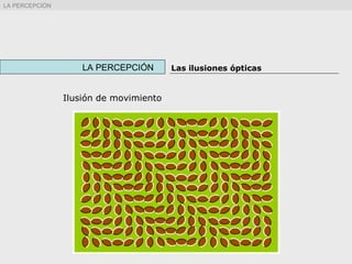 Ilusión de movimiento
LA PERCEPCIÓN Las ilusiones ópticas
LA PERCEPCIÓN
 