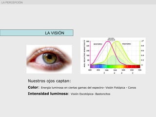 Nuestros ojos captan:
Color: Energía luminosa en ciertas gamas del espectro- Visión Fotópica - Conos
Intensidad luminosa: Visión Escotópica- Bastoncitos
LA VISIÓN
LA PERCEPCIÓN
 