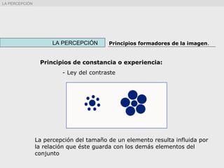 Principios de constancia o experiencia:
- Ley del contraste
La percepción del tamaño de un elemento resulta influida por
la relación que éste guarda con los demás elementos del
conjunto
LA PERCEPCIÓN Principios formadores de la imagen.
LA PERCEPCIÓN
 