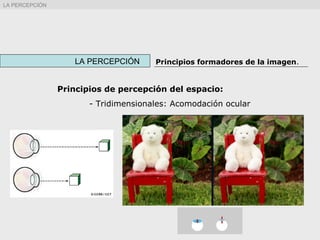 LA PERCEPCIÓN Principios formadores de la imagen.
LA PERCEPCIÓN
Principios de percepción del espacio:
- Tridimensionales: Acomodación ocular
 