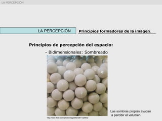 LA PERCEPCIÓN Principios formadores de la imagen.
LA PERCEPCIÓN
Principios de percepción del espacio:
- Bidimensionales: Sombreado
http://www.flickr.com/photos/kagedfish/2611329932
Las sombras propias ayudan
a percibir el volumen
 