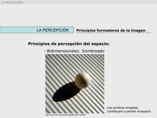 LA PERCEPCIÓN Principios formadores de la imagen.
LA PERCEPCIÓN
Principios de percepción del espacio:
- Bidimensionales: Sombreado
http://www.flickr.com/photos/kagedfish/2871454200
Las sombras arrojadas
contribuyen a percibir el espacio
 