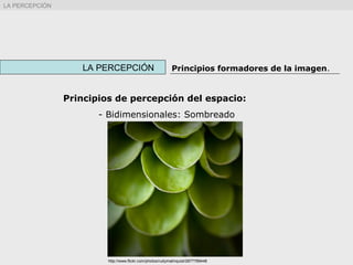 LA PERCEPCIÓN Principios formadores de la imagen.
LA PERCEPCIÓN
Principios de percepción del espacio:
- Bidimensionales: Sombreado
http://www.flickr.com/photos/rudymalmquist/2877789448
 