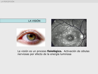 LA VISIÓN
La visión es un proceso fisiológico. Activación de células
nerviosas por efecto de la energía luminosa
LA PERCEPCIÓN
 