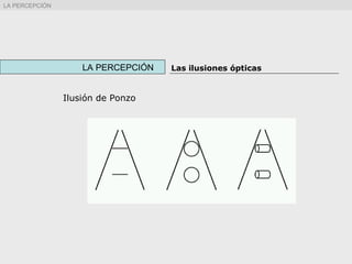 Ilusión de Ponzo
LA PERCEPCIÓN Las ilusiones ópticas
LA PERCEPCIÓN
 
