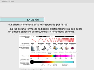 LA VISIÓN
-La energía luminosa es la transportada por la luz
- La luz es una forma de radiación electromagnética que cubre
un amplio espectro de frecuencias y longitudes de onda
LA PERCEPCIÓN
http://axisvega.wordpress.com/espectro-electromagnetico/
 