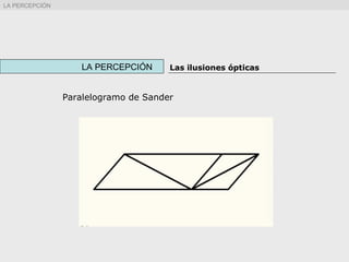 Paralelogramo de Sander
LA PERCEPCIÓN Las ilusiones ópticas
LA PERCEPCIÓN
 