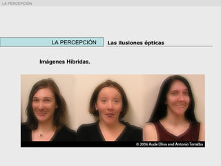 Imágenes Híbridas.
LA PERCEPCIÓN Las ilusiones ópticas
LA PERCEPCIÓN
 