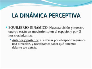 LA DINÁMICA PERCEPTIVA
 EQUILIBRIO DINÁMICO: Nuestra visión y nuestro
 cuerpo están en movimiento en el espacio, y por él
 nos trasladamos.
   Anterior y posterior: al circular por el espacio seguimos
   una dirección, y necesitamos saber qué tenemos
   delante y/o detrás.
 