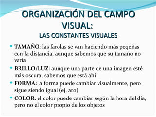 ORGANIZACIÓN DEL CAMPO
            VISUAL:
           LAS CONSTANTES VISUALES
 TAMAÑO: las farolas se van haciendo más peqeñas
  con la distancia, aunque sabemos que su tamaño no
  varía
 BRILLO/LUZ: aunque una parte de una imagen esté
  más oscura, sabemos que está ahí
 FORMA: la forma puede cambiar visualmente, pero
  sigue siendo igual (ej. aro)
 COLOR: el color puede cambiar según la hora del día,
  pero no el color propio de los objetos
 