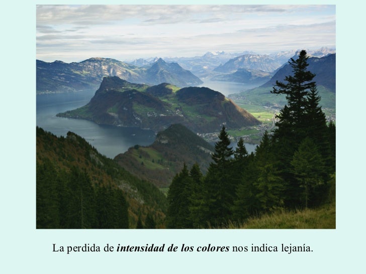 Que Ha Perdido La Intensidad De Los Colores Que Ha Perdido La Intensidad De Los Colores