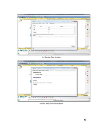 13
2.3 Servidor: ficha Atributos
Servidor: ficha Servicio de Software.
 