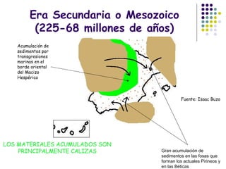 Era Secundaria o Mesozoico
(225-68 millones de años)
Acumulación de
sedimentos por
transgresiones
marinas en el
borde oriental
del Macizo
Hespérico
Gran acumulación de
sedimentos en las fosas que
forman los actuales Pirineos y
en las Béticas
LOS MATERIALES ACUMULADOS SON
PRINCIPALMENTE CALIZAS
Fuente: Isaac Buzo
 