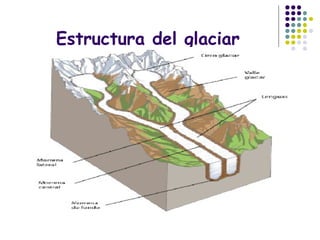 Estructura del glaciar
 