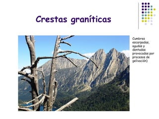 Crestas graníticas
Cumbres
escarpadas,
agudas y
dentadas
provocadas por
procesos de
gelivación)
 