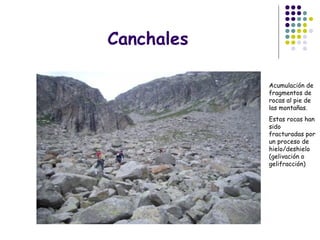 Canchales
Acumulación de
fragmentos de
rocas al pie de
las montañas.
Estas rocas han
sido
fracturadas por
un proceso de
hielo/deshielo
(gelivación o
gelifracción)
 