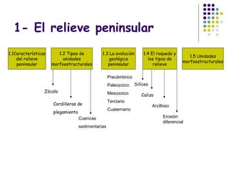 1- El relieve peninsular
1.1Características
del relieve
peninsular
1.2 Tipos de
unidades
morfoestructurales
1.3 La evolución
geológica
peninsular
1.4 El roquedo y
los tipos de
relieve
1.5 Unidades
morfoestructurales
Zócalo
Cordilleras de
plegamiento
Cuencas
sedimentarias
Silíceo
Calizo
Arcilloso
Erosión
diferencial
Precámbrico
Paleozoico
Mesozoico
Terciario
Cuaternario
 