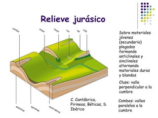 Relieve jurásico
Sobre materiales
jóvenes
(secundario)
plegados
formando
anticlinales y
sinclinales
alternando
materiales duros
y blandos
Cluse: valle
perpendicular a la
cumbre
Combes: valles
paralelos a la
cumbre
C. Cantábrica,
Pirineos, Béticas, S.
Ibérico
 