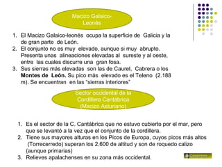 El relieve español
1. El Macizo Galaico-leonés ocupa la superficie de Galicia y la
de gran parte de León.
2. El conjunto no es muy elevado, aunque si muy abrupto.
Presenta unas alineaciones elevadas al sureste y al oeste,
entre las cuales discurre una gran fosa.
3. Sus sierras más elevadas son las de Caurel, Cabrera o los
Montes de León. Su pico más elevado es el Teleno (2.188
m). Se encuentran en las “sierras interiores”
Macizo Galaico-
Leonés
1. Es el sector de la C. Cantábrica que no estuvo cubierto por el mar, pero
que se levantó a la vez que el conjunto de la cordillera.
2. Tiene sus mayores alturas en los Picos de Europa, cuyos picos más altos
(Torrecerredo) superan los 2.600 de altitud y son de roquedo calizo
(aunque primarias)
3. Relieves apalachenses en su zona más occidental.
Sector occidental de la
Cordillera Cantábrica
(Macizo Asturiano)
 