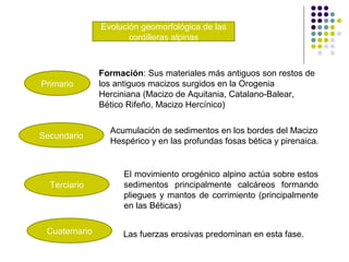 Evolución geomorfológica de las
cordilleras alpinas
Primario
Secundario
Terciario
Cuaternario
Formación: Sus materiales más antiguos son restos de
los antiguos macizos surgidos en la Orogenia
Herciniana (Macizo de Aquitania, Catalano-Balear,
Bético Rifeño, Macizo Hercínico)
Acumulación de sedimentos en los bordes del Macizo
Hespérico y en las profundas fosas bética y pirenaica.
El movimiento orogénico alpino actúa sobre estos
sedimentos principalmente calcáreos formando
pliegues y mantos de corrimiento (principalmente
en las Béticas)
Las fuerzas erosivas predominan en esta fase.
 