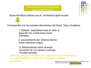 Evolución geomorfológica de las
depresiones terciarias
Zonas del Macizo Ibérico que el movimiento alpino hundió
Corresponden con las actuales depresiones del Duero, Tajo y Guadiana.
1. Estaban basculadas hacia el este: el
agua del mar cubrió estas zonas
orientales.
2. Levantamiento del Sistema Ibérico:
mares interiores y lagos
3. Rebasculación hacia el oeste:
formación de los cauces y cuencas
fluviales actuales
Predominio de rocas arcillosas que se disponen en estratos que no
han sido sometidos a ningún mov. Orogénico: estratos
horizontales El esquema para el desarrollo de la pregunta y la información está
obtenida del siguiente sitio.
 