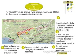 1. Tiene 330 km de longitud y una anchura máxima de 200 km.
2. Predomina claramente el relieve tabular
La colmatación de la
depresión comienza
cuando se bascula
hacia el oeste:
Las zonas más
orientales presentan
estratos de caliza y
areniscas
ligeramente buzados
Tectónica que
basculó la
depresión
Suaves ondulaciones sobre
margas y arcillas muy
recientes
Zona en la que los
depósitos aun no
han acabado de
expulsar el mar
Depresión
del
Guadalquivir
El esquema para el desarrollo de la pregunta y la información está
obtenida del siguiente sitio.
1
2
345
 