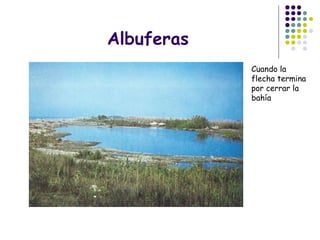 Albuferas
Cuando la
flecha termina
por cerrar la
bahía
 
