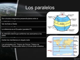 Los paralelos

Son círculos imaginarios perpendiculares entre si


Van de Este a Oeste


La referencia es el Ecuador (paralelo 0º)

Su diámetro disminuye conforme nos acercamos a los
polos

Cortan los meridianos en ángulo recto

Los principales son: Trópico de Cáncer, Trópico de
Capricornio, Círculo polar ártico y Círculo polar antártico
 