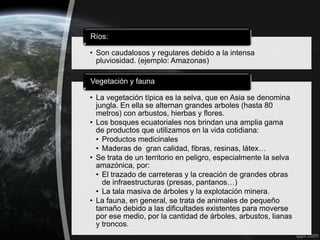 Ríos:

• Son caudalosos y regulares debido a la intensa
  pluviosidad. (ejemplo: Amazonas)

Vegetación y fauna

• La vegetación típica es la selva, que en Asia se denomina
  jungla. En ella se alternan grandes arboles (hasta 80
  metros) con arbustos, hierbas y flores.
• Los bosques ecuatoriales nos brindan una amplia gama
  de productos que utilizamos en la vida cotidiana:
  • Productos medicinales
  • Maderas de gran calidad, fibras, resinas, látex…
• Se trata de un territorio en peligro, especialmente la selva
  amazónica, por:
  • El trazado de carreteras y la creación de grandes obras
    de infraestructuras (presas, pantanos…)
  • La tala masiva de árboles y la explotación minera.
• La fauna, en general, se trata de animales de pequeño
  tamaño debido a las dificultades existentes para moverse
  por ese medio, por la cantidad de árboles, arbustos, lianas
  y troncos.
 