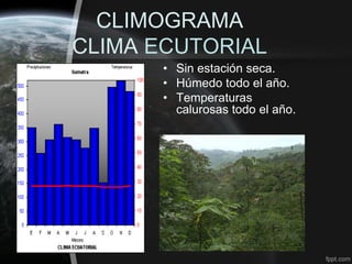CLIMOGRAMA
CLIMA ECUTORIAL
      • Sin estación seca.
      • Húmedo todo el año.
      • Temperaturas
        calurosas todo el año.
 