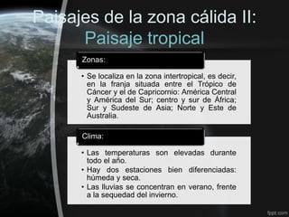 Paisajes de la zona cálida II:
      Paisaje tropical
      Zonas:

      • Se localiza en la zona intertropical, es decir,
        en la franja situada entre el Trópico de
        Cáncer y el de Capricornio: América Central
        y América del Sur; centro y sur de África;
        Sur y Sudeste de Asia; Norte y Este de
        Australia.

      Clima:

      • Las temperaturas son elevadas durante
        todo el año.
      • Hay dos estaciones bien diferenciadas:
        húmeda y seca.
      • Las lluvias se concentran en verano, frente
        a la sequedad del invierno.
 