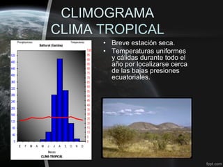 CLIMOGRAMA
CLIMA TROPICAL
      • Breve estación seca.
      • Temperaturas uniformes
        y cálidas durante todo el
        año por localizarse cerca
        de las bajas presiones
        ecuatoriales.
 
