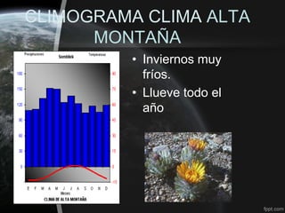 CLIMOGRAMA CLIMA ALTA
      MONTAÑA
         • Inviernos muy
           fríos.
         • Llueve todo el
           año
 