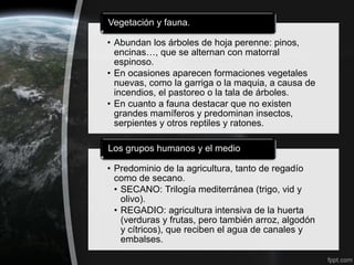 Vegetación y fauna.

• Abundan los árboles de hoja perenne: pinos,
  encinas…, que se alternan con matorral
  espinoso.
• En ocasiones aparecen formaciones vegetales
  nuevas, como la garriga o la maquia, a causa de
  incendios, el pastoreo o la tala de árboles.
• En cuanto a fauna destacar que no existen
  grandes mamíferos y predominan insectos,
  serpientes y otros reptiles y ratones.

Los grupos humanos y el medio

• Predominio de la agricultura, tanto de regadío
  como de secano.
  • SECANO: Trilogía mediterránea (trigo, vid y
    olivo).
  • REGADIO: agricultura intensiva de la huerta
    (verduras y frutas, pero también arroz, algodón
    y cítricos), que reciben el agua de canales y
    embalses.
 