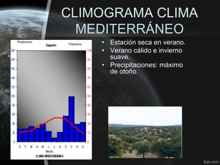CLIMOGRAMA CLIMA
  MEDITERRÁNEO
    • Estación seca en verano.
    • Verano cálido e invierno
      suave.
    • Precipitaciones: máximo
      de otoño.
 