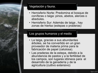 Vegetación y fauna.

• Hemisferio Norte: Predomina el bosque de
  coníferas o taiga: pinos, abetos, alerces o
  abedules.
• Hemisferio Sur: Además de taiga , hay
  zonas de hierba (estepas o praderas)

Los grupos humanos y el medio

• La taiga, gracias a sus abundantes
  árboles, se ha convertido en un gran
  proveedor de materia prima para la
  fabricación de papel (celulosa).
• Las praderas de la estepa, debido a la
  abundancia de pastos y a la fertilidad de
  los campos, son lugares idóneos para el
  desarrollo de la ganadería y de la
  agricultura (cultivo extensivo)
 