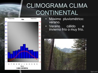 CLIMOGRAMA CLIMA
   CONTINENTAL
    • Máximo pluviométrico:
      verano.
    • Verano       cálido     e
      invierno frío o muy frío.
 