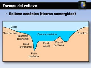 Formas del relieve 
• Relieve oceánico (tierras sumergidas) 
 